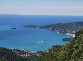 Hotel Montallegro，位于拉帕洛的酒店