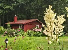 Namelis nr 1 Adelės sodyba