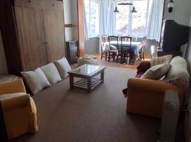 Departamento Los Penitentes，位于洛斯佩妮滕特斯的酒店