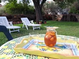 Casa del Sole - Trilocale con giardino