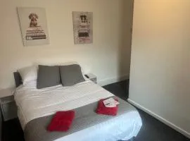 The Budget Hotel
