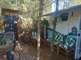 Treiler experiência na floresta