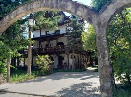 Pensiunea Perla Maramuresului，位于博尔沙的酒店