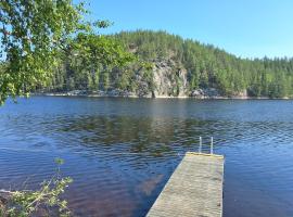 Modern holiday cabin in Saimaa，位于Enonkoski的乡村别墅