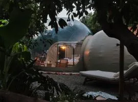 El Nido Frigiliana