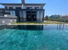 Villa Ant