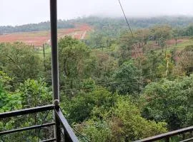 Estate stay Coorg