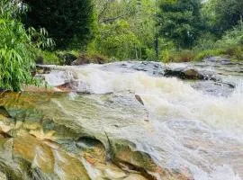 Prajatha estate stay