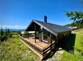 New large cabin with sauna in Hafjell，位于诺德塞特的酒店
