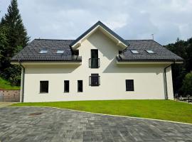 Apartmaji Vouk - sodobni apartmaji v objemu narave - Lukanja - Rogla - Primerno za pare in družine - Sprostitev in aktivno preživljanje prostega časa，位于Oplotnica的酒店