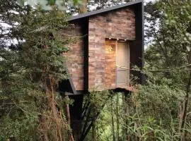 TREE LODGE CHILOE
