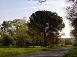 Roquepoix, escale au vert pour sillonner le Gers