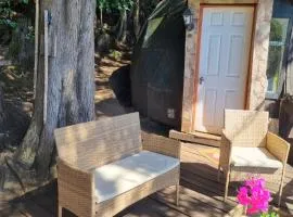 Domo Temuco con vista a la ciudad