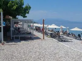 Ariadni's Dreamhouse