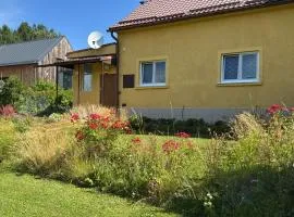 A&A House