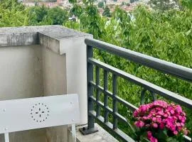 Élégant apt avec vue Tour Eiffel & parking privé