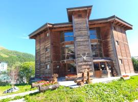 Shackleton Chalet，位于塞斯特雷的酒店