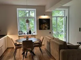 Luxury Downtown Apartment