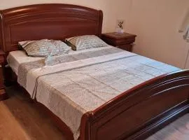 Apartment Plava Voda