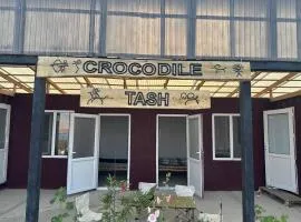 Crocodile Tash
