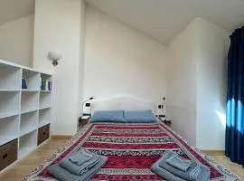 Attico nel Centro di Novara