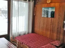 Charmant 2 pièces – Proche pistes, 5 pers, Les Saisies - FR-1-810-14