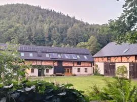 Jesionówka Apartamenty