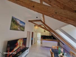 LOFT WINTERZEIT - NEAR INTERLAKEN SPIEZ THUN - Wandern und Skifahren，位于Wimmis的酒店
