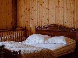 Ghazaryan's Home Guesthouse Lori，位于Debed的酒店
