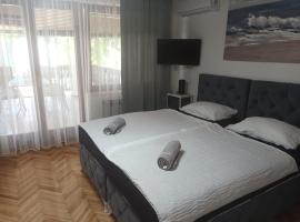 Studio apartman Ivana，位于Gradište的酒店
