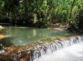 Ecocio Jungle Hostel，位于科隆的酒店