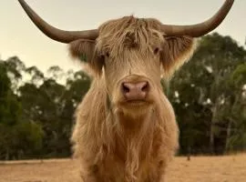 Adelaide Hills Farm Stay