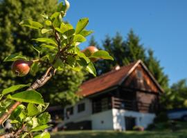 Martin's Family Cottage with Hot Tub & Views，位于Šmarje pri Jelšah的酒店