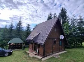 Planinska kuca Beli bor