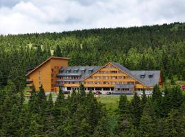 Hotel Petrovy kameny，位于卡尔洛瓦斯图丹卡的酒店