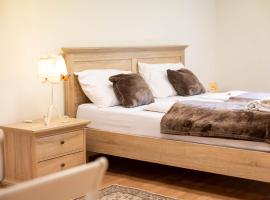 Hiša Elsbacher Laško，位于拉什科的酒店