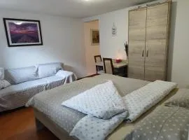 Apartma Lastovka