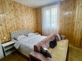 Hotel Beshumi，位于Goderdzi的酒店