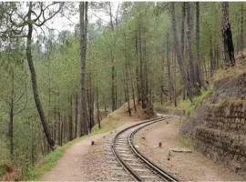 Mountain Majesty Kasauli !!
