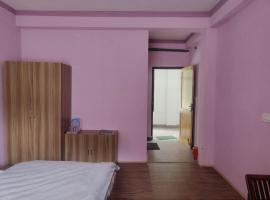 Jispa Holidays，位于Jispa的酒店