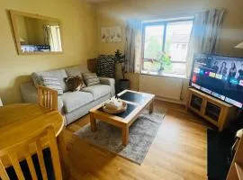 Cosy apartment in heart of Cork City