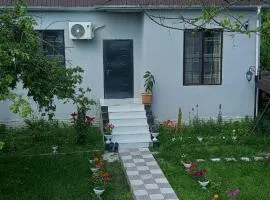 Samall new villa FRHD