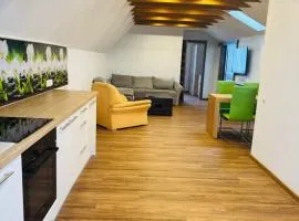 Family apartment with pool & garden view