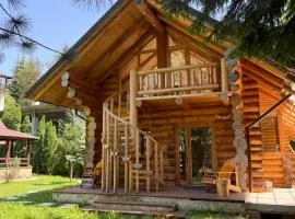Cabane- Vila Crinul si Teodor Poiana Brasov