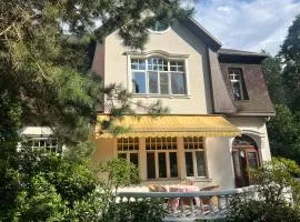 Villa Lumiere