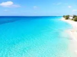 Beautiful Experience