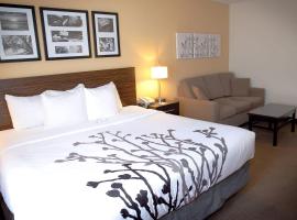 Sleep Inn & Suites Moundsville - Wheeling，位于Moundsville的酒店