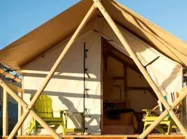 Amazing Safari Boutique Camping