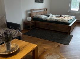 Apartmány MonTexas，位于Staměřice的酒店