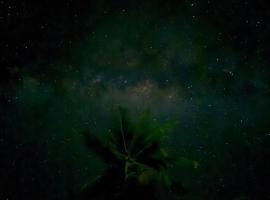 Maupiti Bambou Camping，位于Maupiti的酒店
